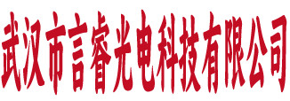 武汉市言睿光电科技有限公司